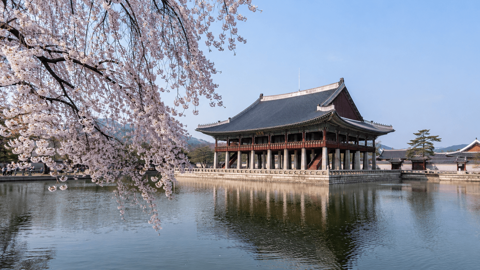 Seoul in Spring: Weather, Cherry Blossoms, and Practical Travel Tips
